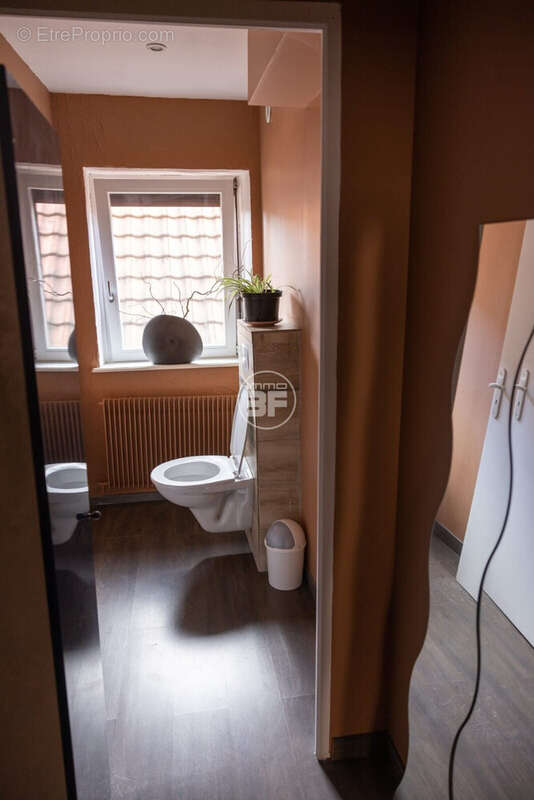 Appartement à RIBEAUVILLE