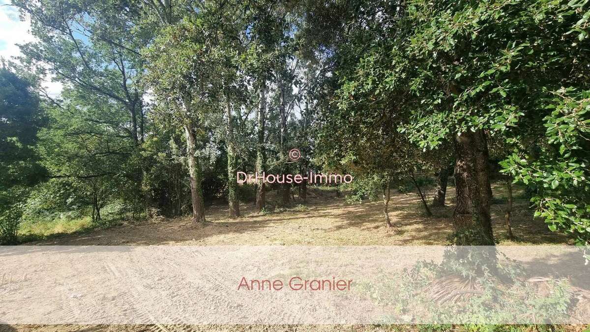 Terrain 972 m² à Montastruc-La-Conseillere  - photo 2
