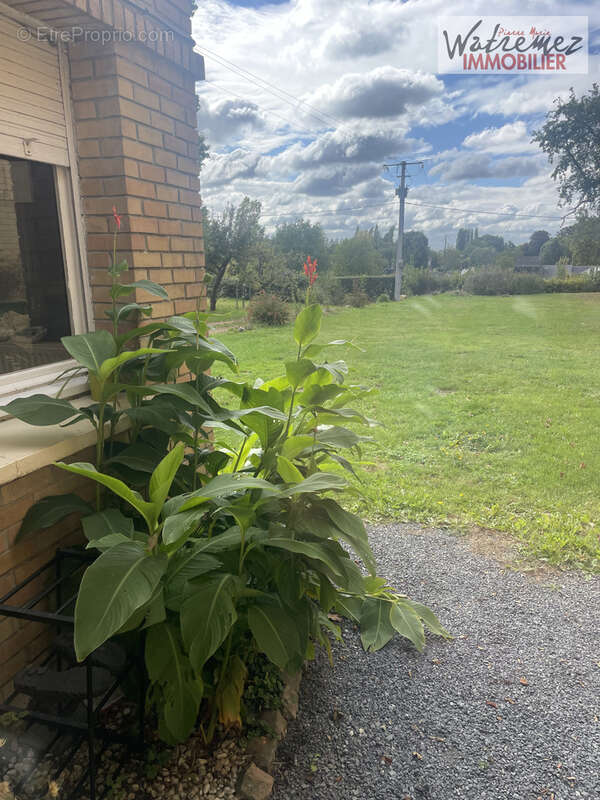 Maison à GOMMEGNIES