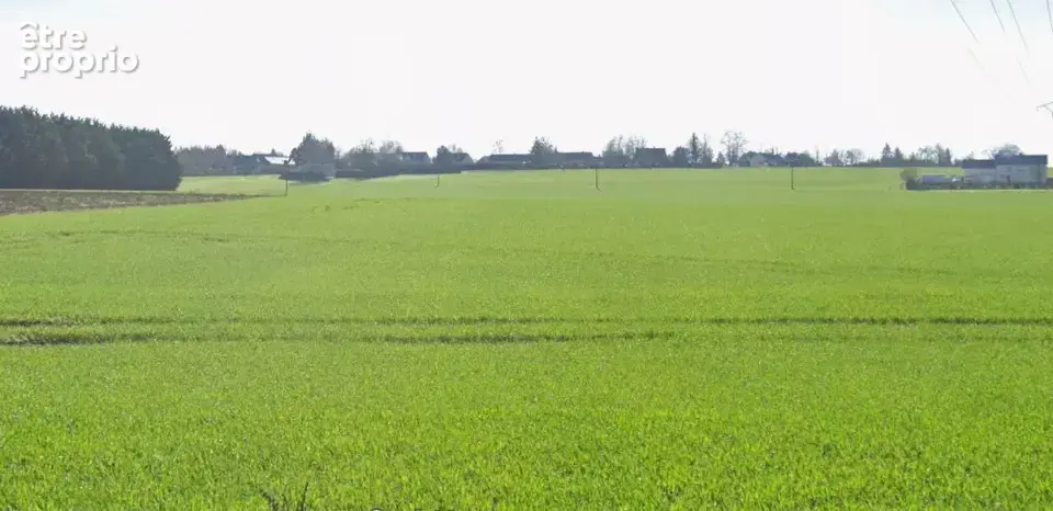 Photo Terrain à Rians au prix de 23 500€