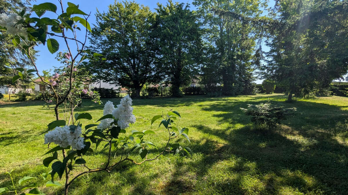 Terrain à SERMESSE
