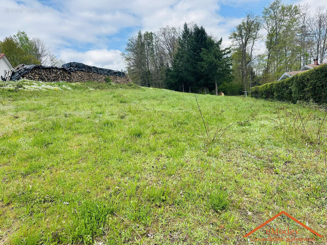 Terrain à CHENIMENIL