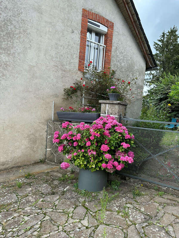 Maison à SALINS