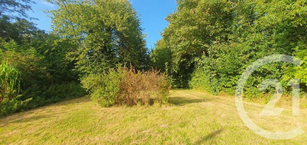 Maison 135 m² à Douriez  - photo 28
