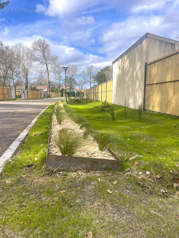 Terrain à SEIGNOSSE