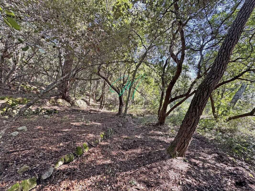 Terrain à LE ROURET