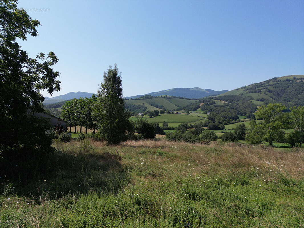 Maison à MAULEON-LICHARRE