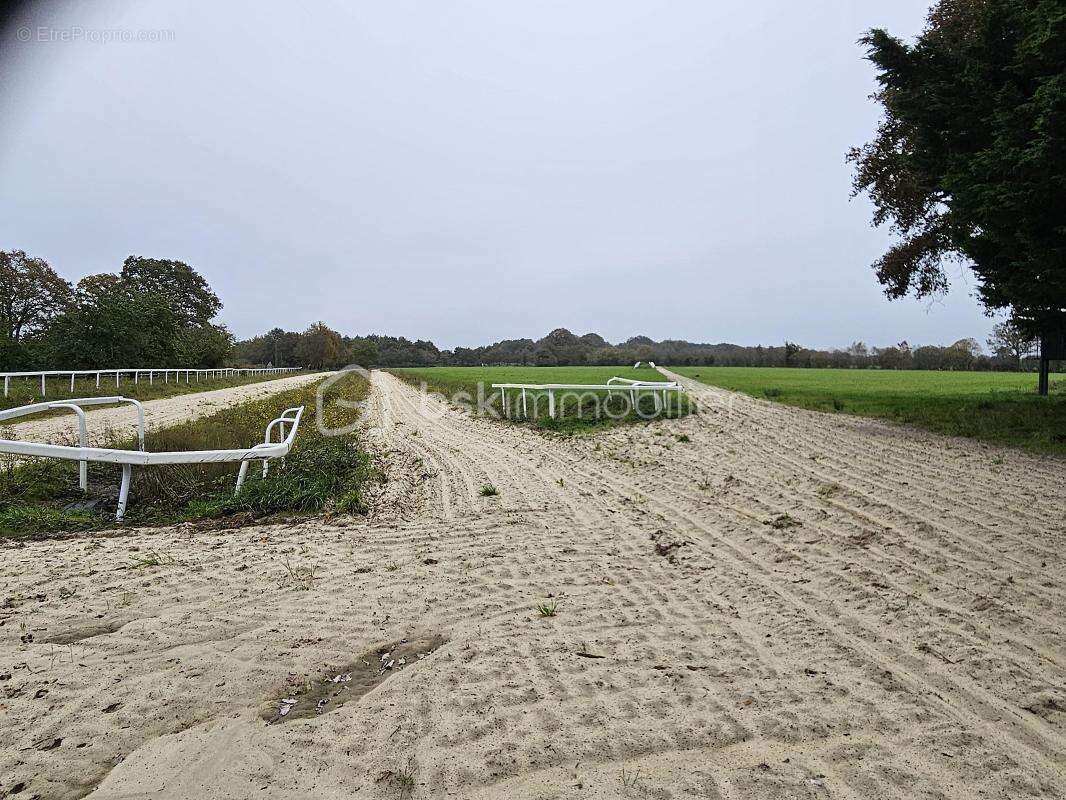 Terrain à NOZAY
