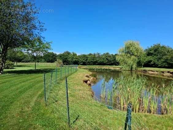 Maison à SAINTE-SUZANNE