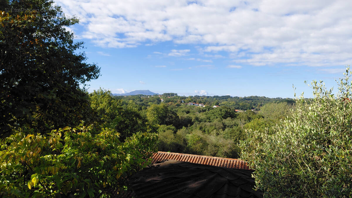 Maison à BASSUSSARRY