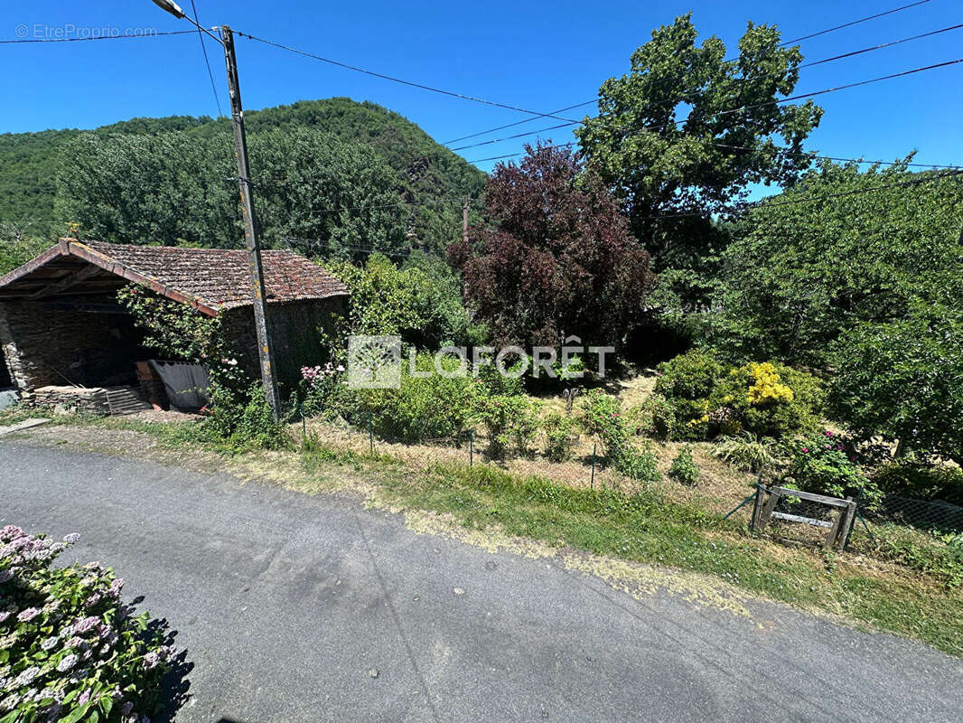 Ambialet - Maison en pierre à rénover - photo 3
