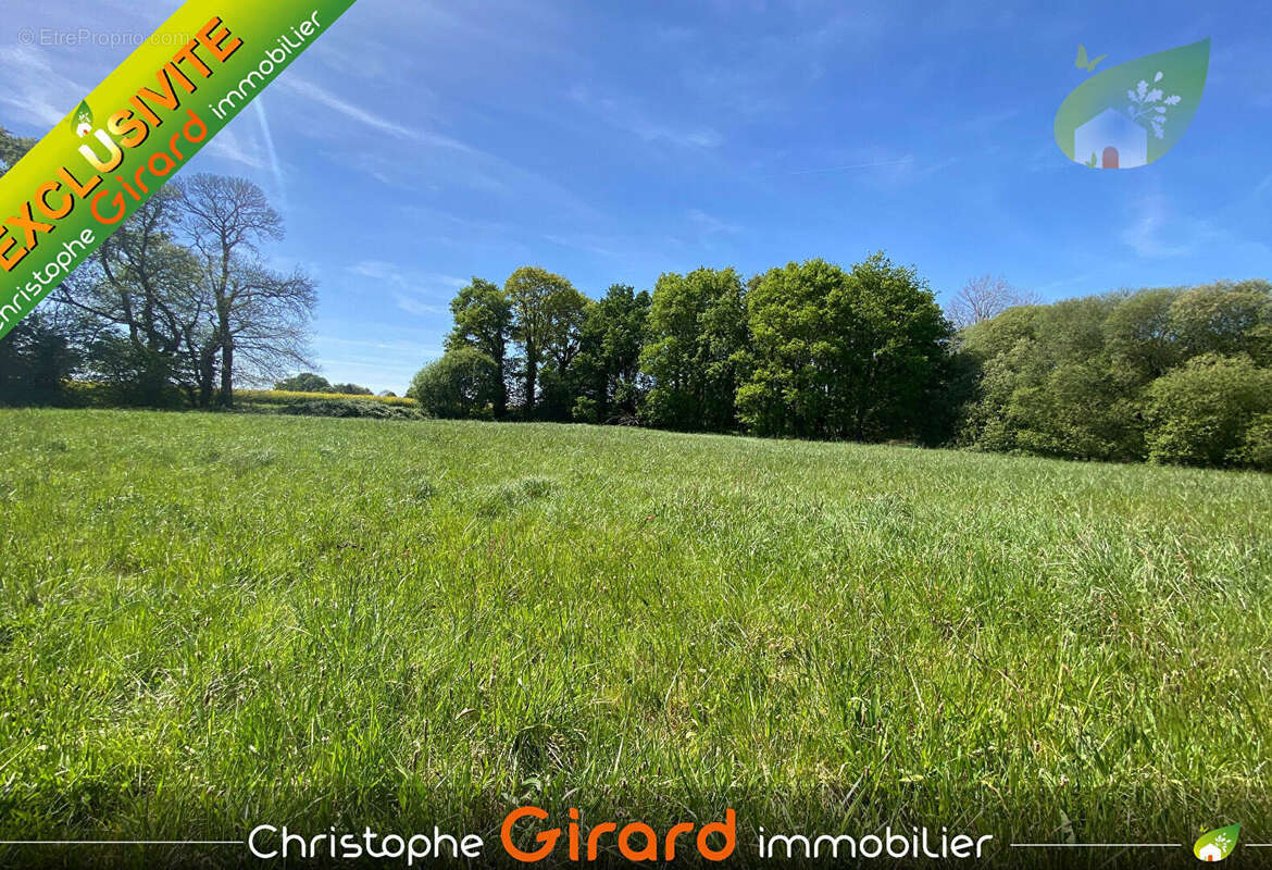 Terrain  etang a vendre  a vignoc  (35630) - 30 825 m² - photo 8