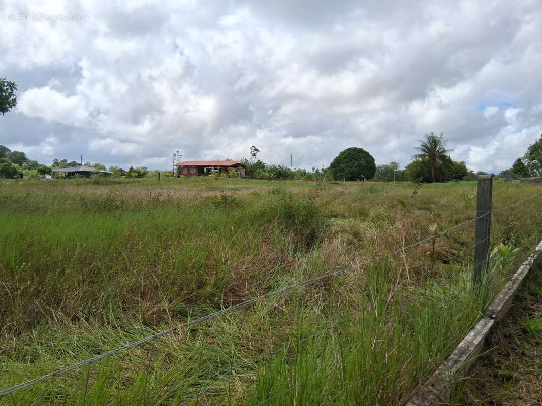 Terrain à KOUROU