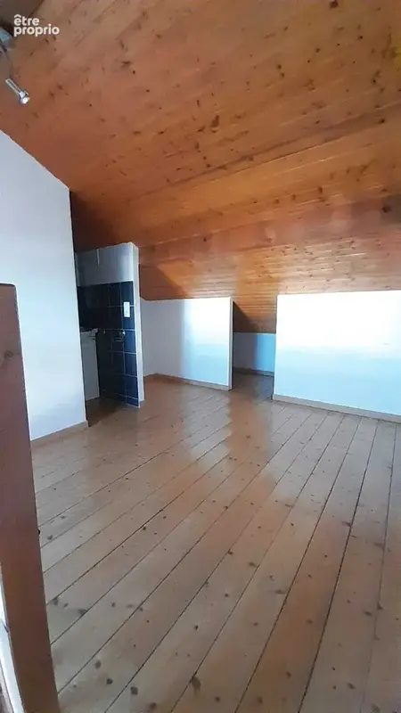 EXCLUSIVITE-Amphion - Charmant Type 2 Duplex  39 m2 utiles - photo 8