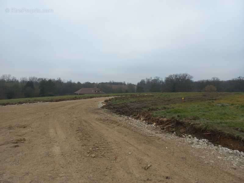 Terrain viabilisé - photo 4
