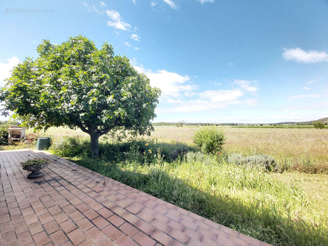 Villa de plain-pied 5 pièces avec vue dégagée à vendre à Calvisson en Vaunage - photo 4