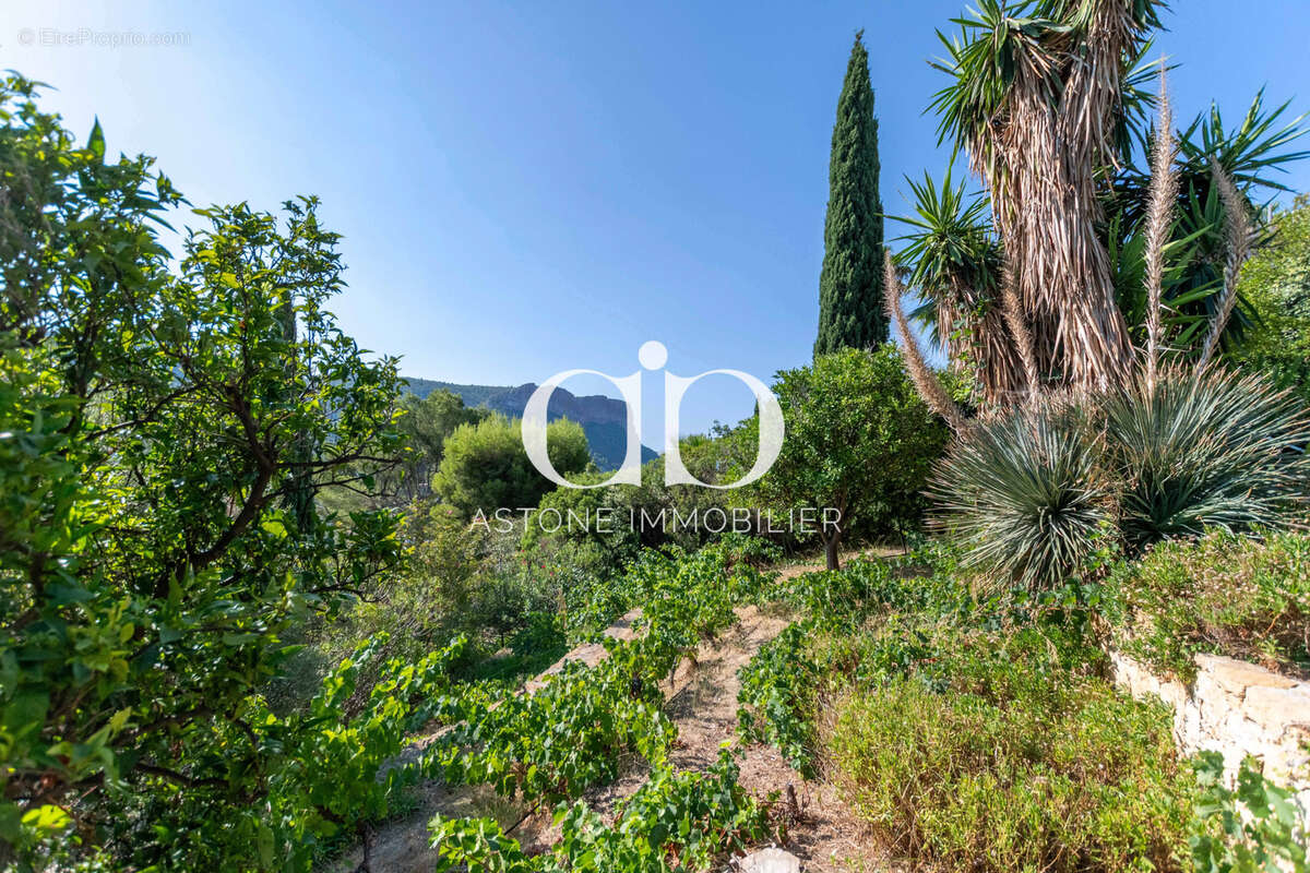 CASSIS / villa prestige vue mer - photo 20