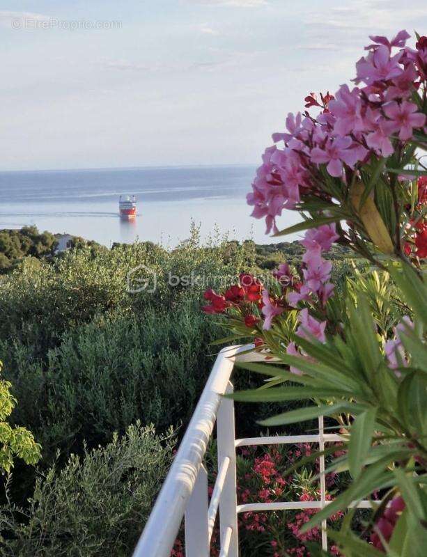 Villa avec vue mer et Cap Corse, piscine, appartement indépendant – Monticello - photo 6