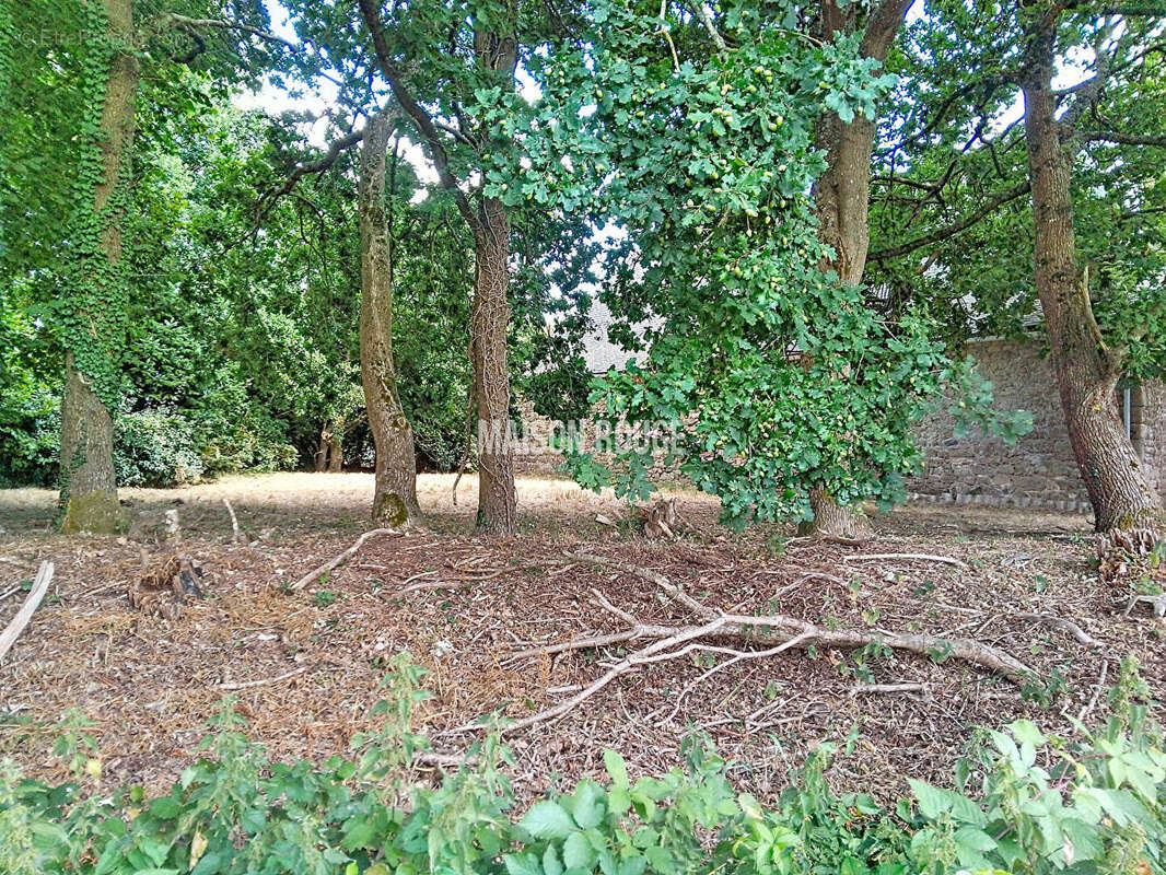 Saint-brandan : authentique corps de ferme à rénover avec fort potentiel - photo 11