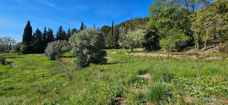 Terrain à FAYENCE