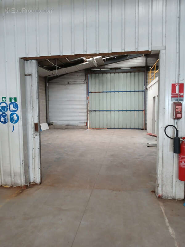 49 Candé, locaux d'activité de 3516 m2 à vendre - photo 4