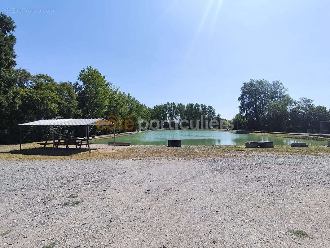 Etang de pêche - photo 5