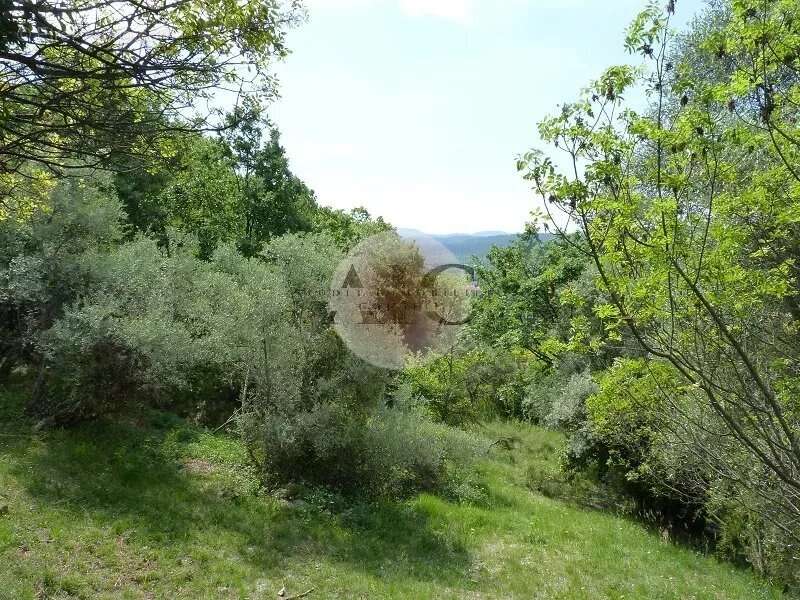 Terrain à CALLIAN