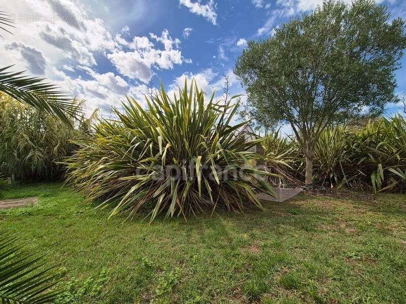 Maison à SAINT-ROMAIN-DE-BENET