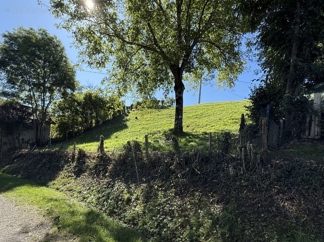 Terrain à PEILLONNEX