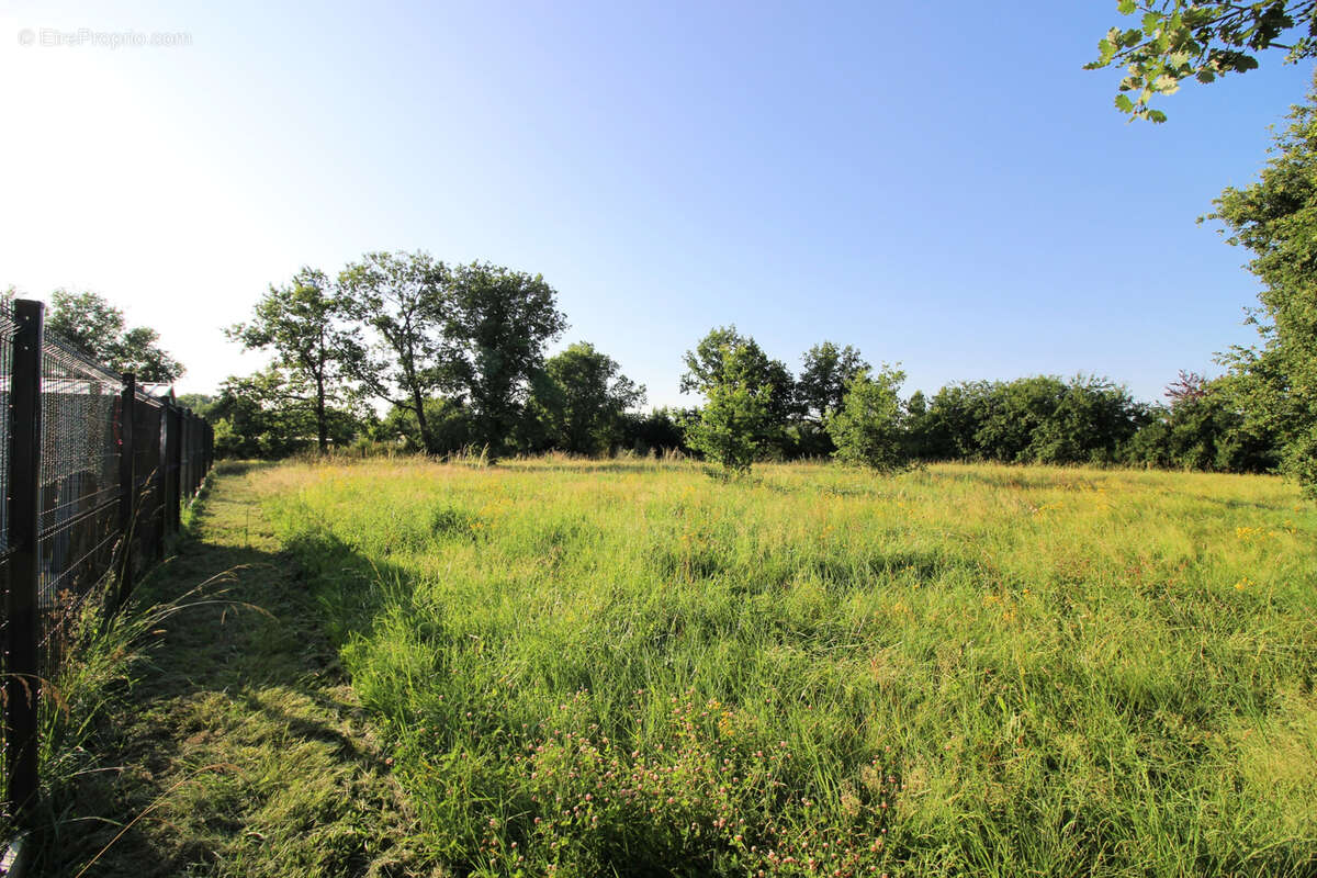 Terrain constructible de 1710m2 viabilisé - photo 2