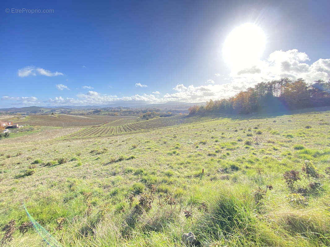 Terrain à bâtir à 5km de Limoux de 1051m2, vue sur les Pyrénées, environnement nature - photo 2