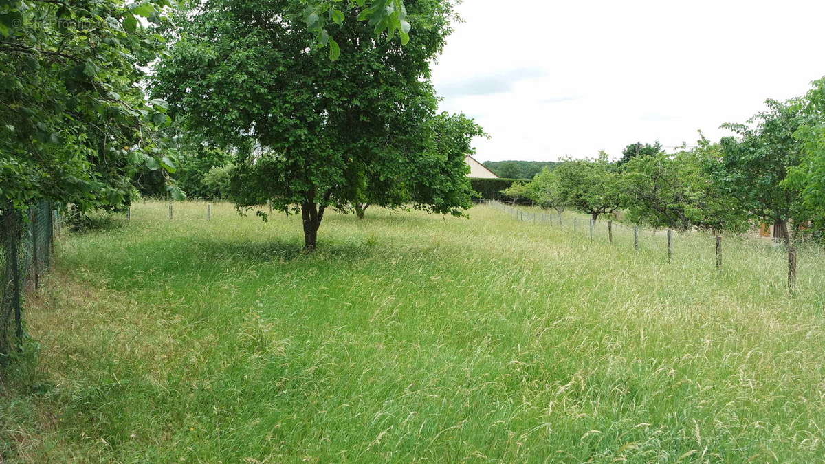 Terrain à bâtir 782 m² - photo 4