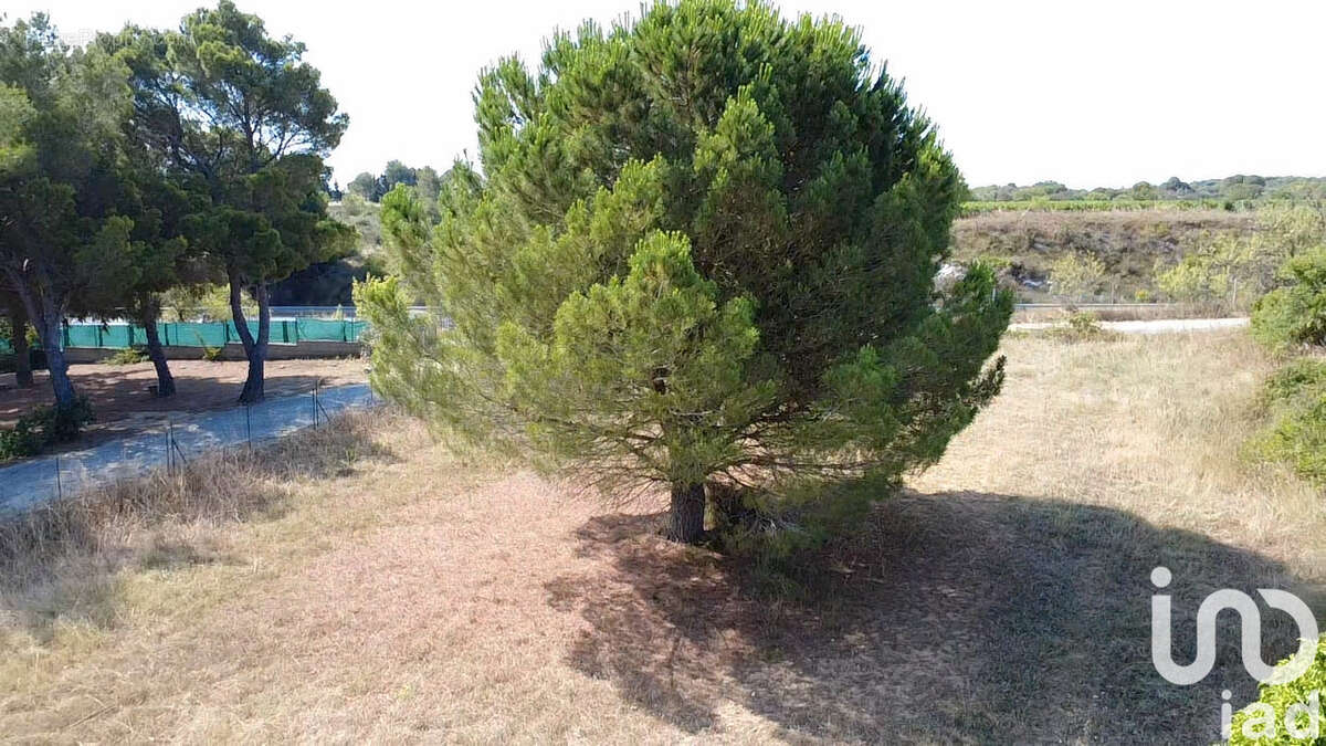 Photo 4 - Terrain à SALLES-D&#039;AUDE