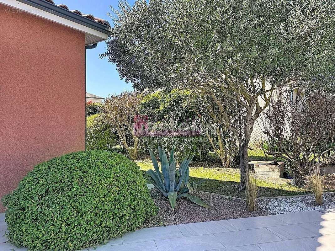 Maison à AUCAMVILLE