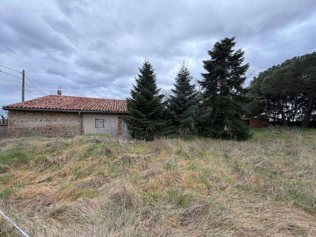 Maison à MURET