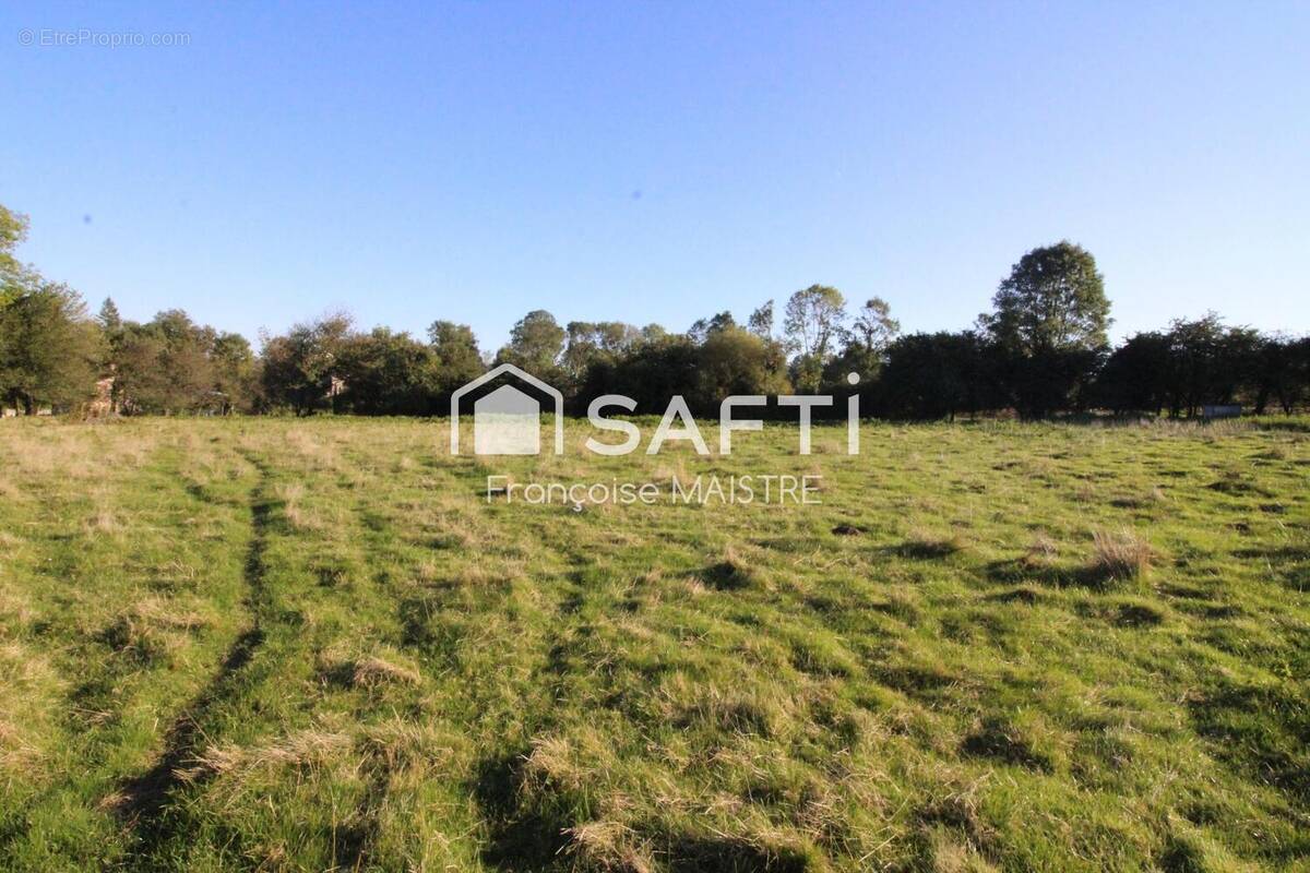 Photo 1 - Terrain à CASTRES