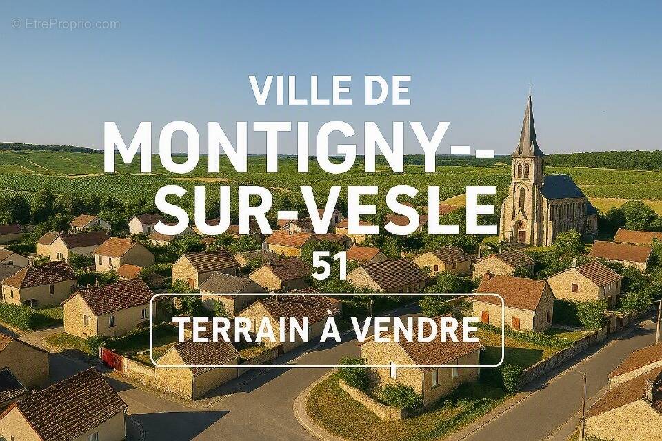 Terrain à MONTIGNY-SUR-VESLE