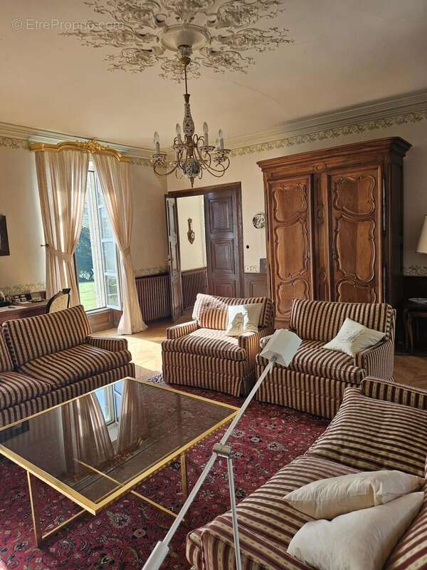 Château Historique à Moulins-Engilbert - photo 13