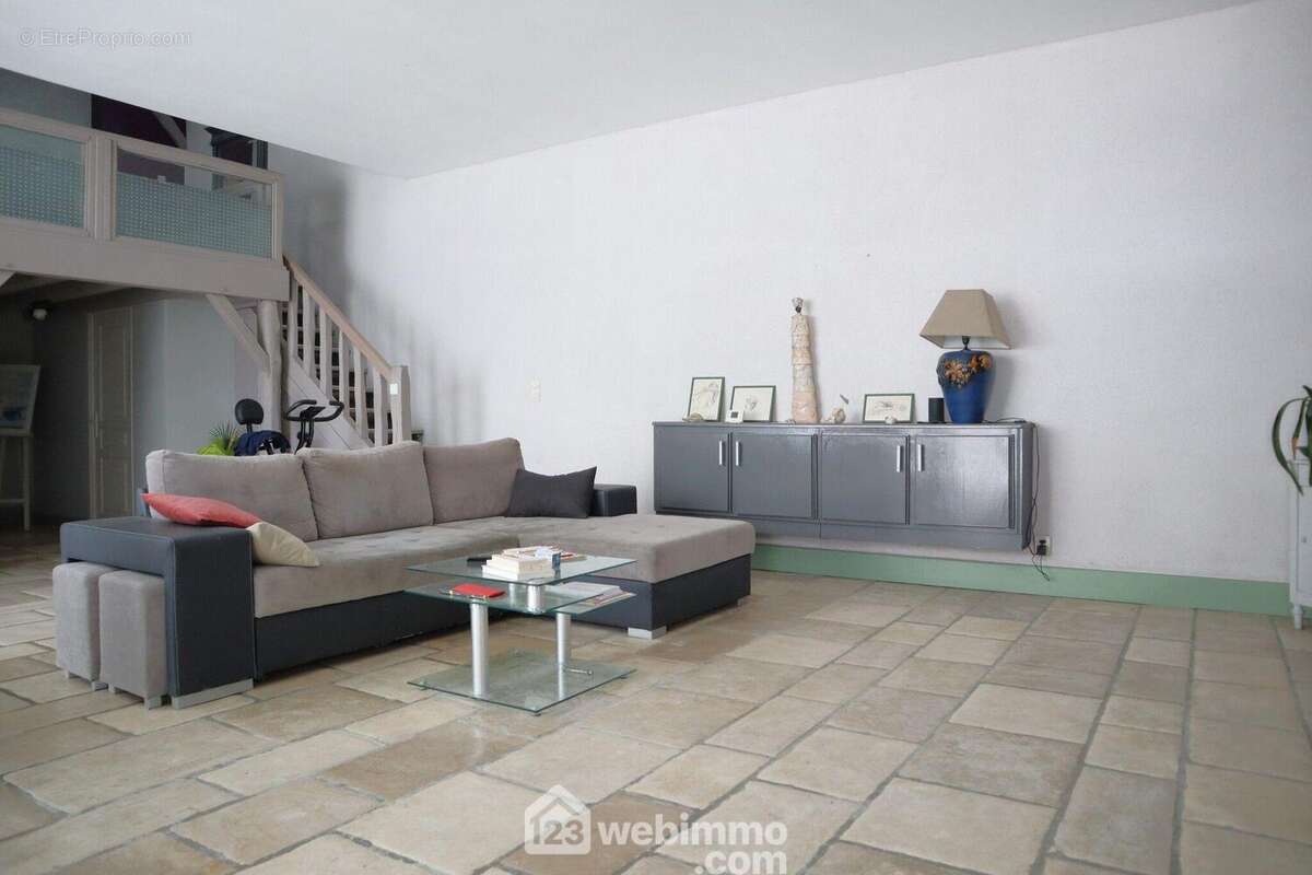 Salon, - Maison à LUSSAC-LES-CHATEAUX