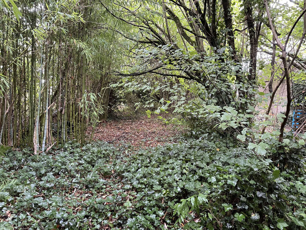 RARE -Grand terrain à bâtir dans un village - photo 3