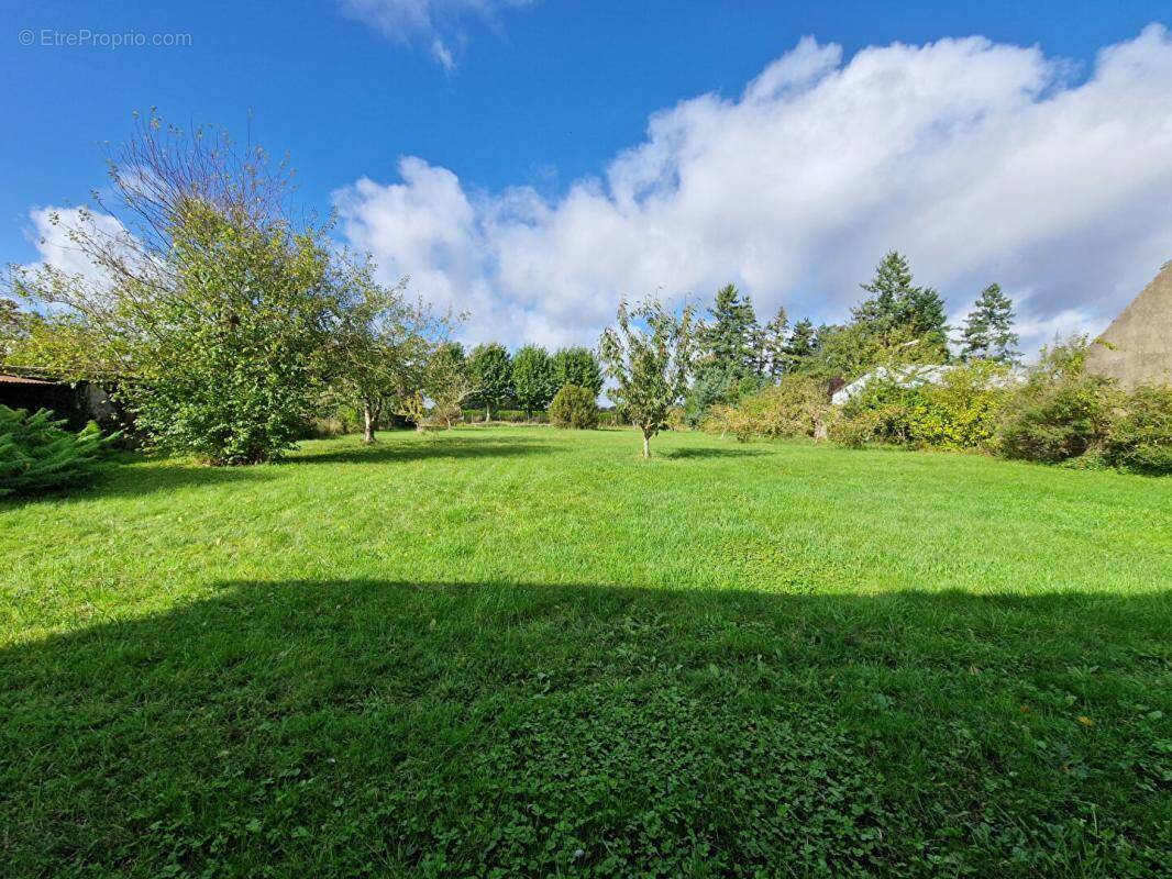 Terrain à AUNEAU