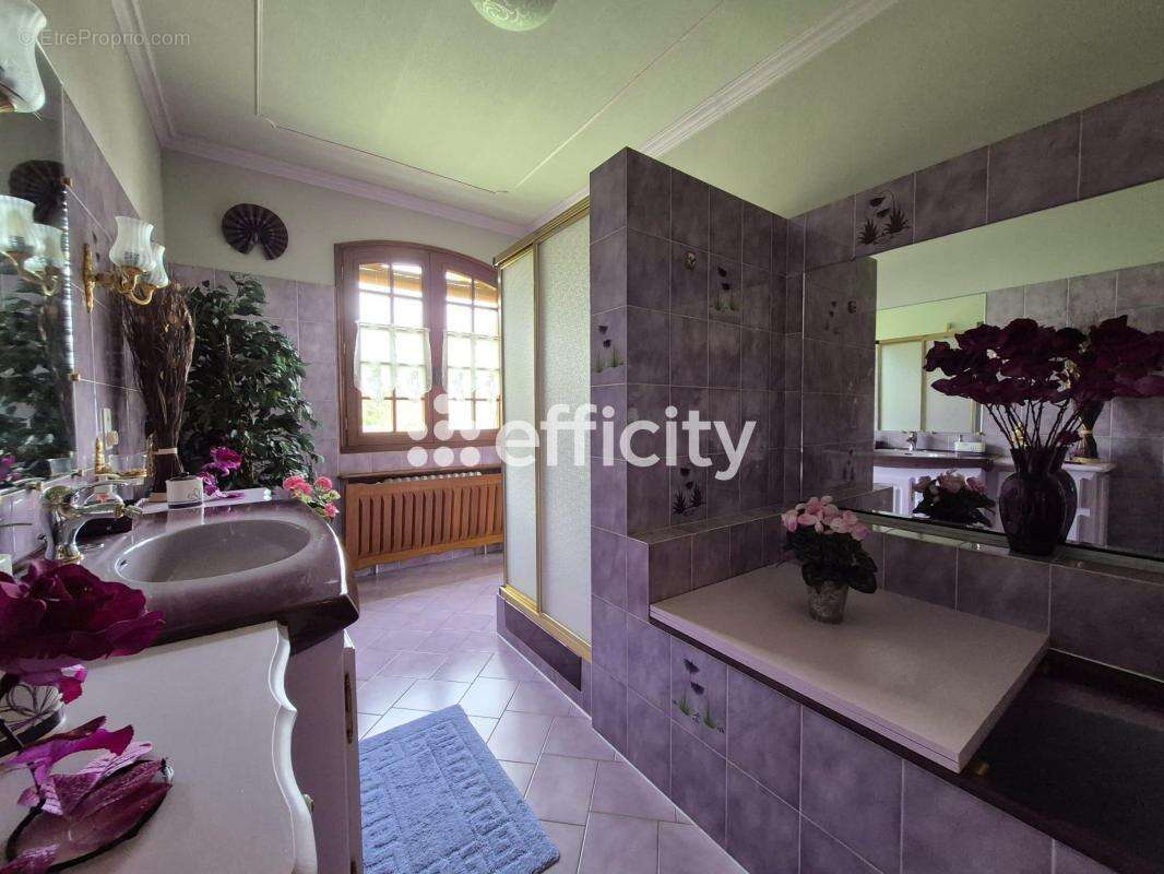 Maison 207 m² à Etagnac  - photo 8