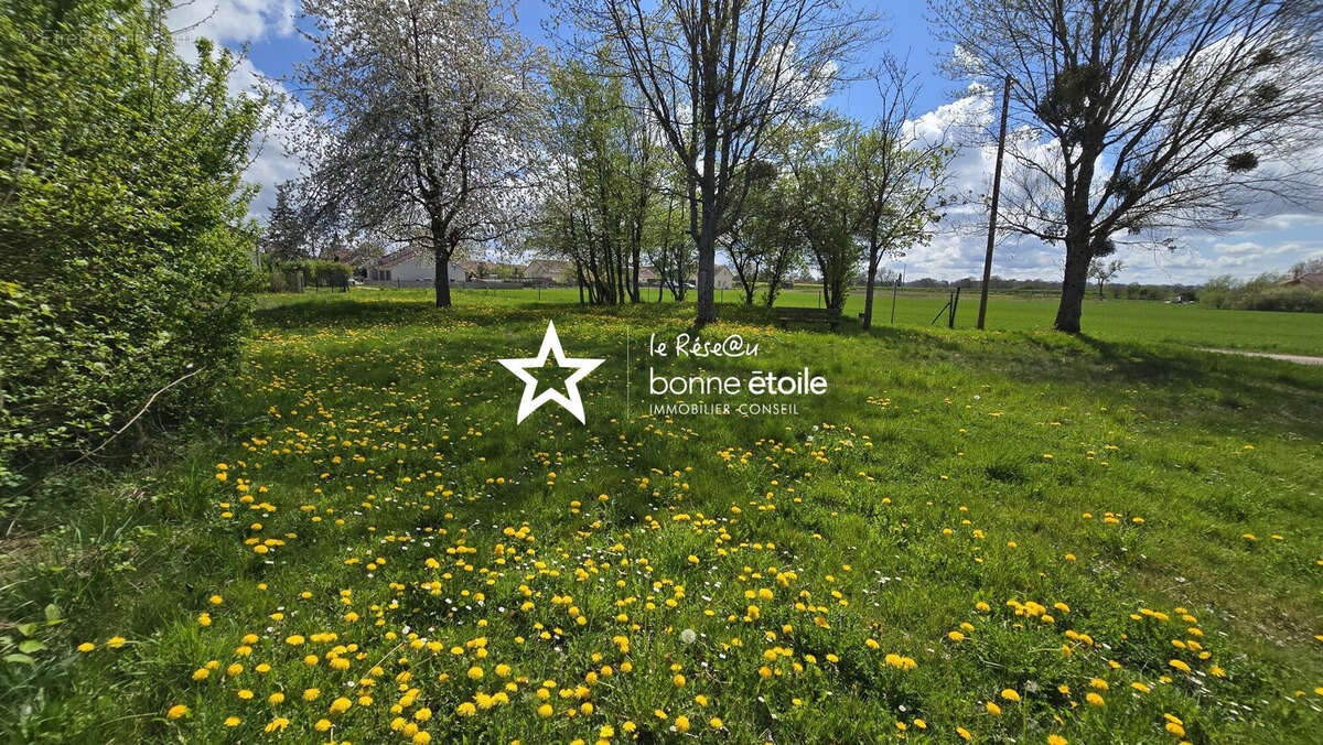 Terrain à RICHEBOURG