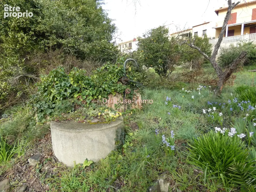 Terrain 1 555 m² à vendre à Collioure (66190) - photo 27