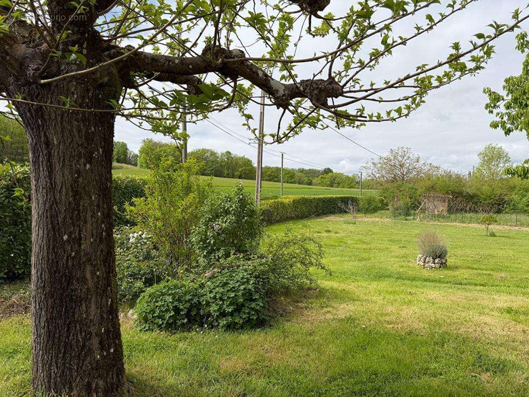 Charmante maison de campagne avec maison d'amis, piscine et intimité totale - photo 17
