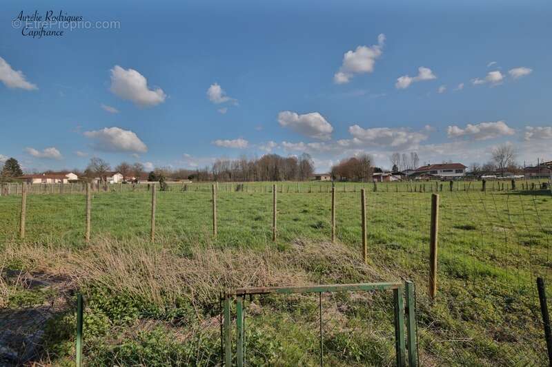 Maison à vendre 3 pièces BOZ (01) - photo 3