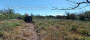 Terrain à VILLENEUVE-LES-BEZIERS