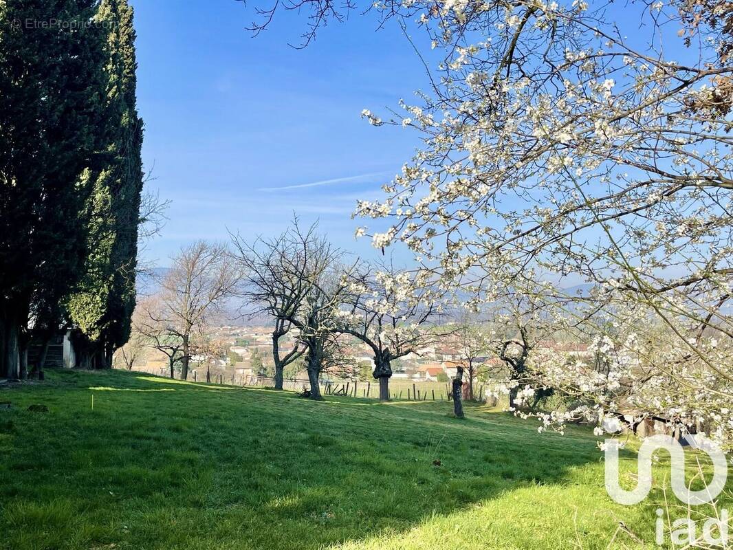 Photo 1 - Terrain à ASSIEU