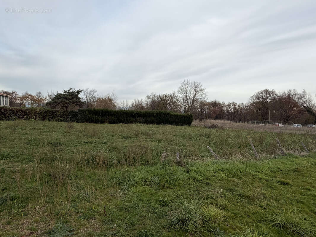 Terrain à PONCINS