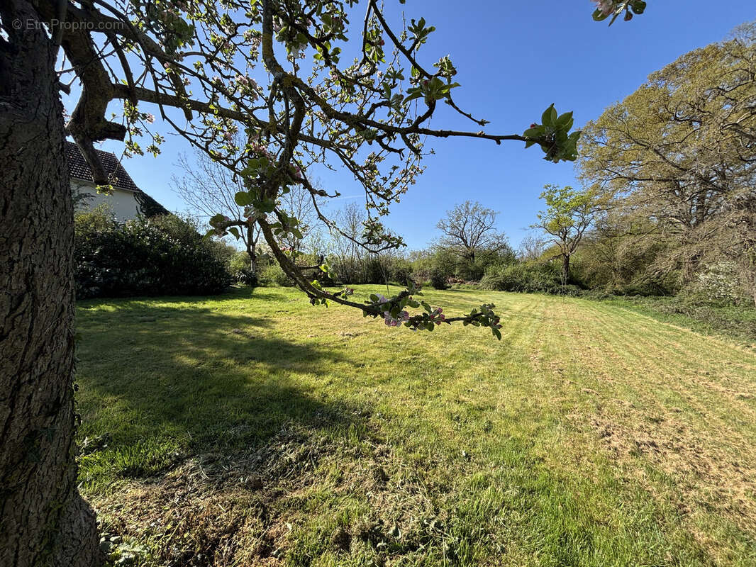 Maison à SAINT-MAUR